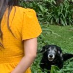 Divya Spandana Instagram - My sweet sweet boy Champu ♥️♥️