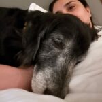 Divya Spandana Instagram - My sweet sweet boy Champu ♥️♥️