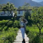 Elli AvrRam Instagram – This❤️ Stay tuned, for there’s more to it.

#elliavrram #yourstruly #mountains #nature #lover #incredibleindia