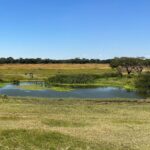 Elli AvrRam Instagram - Safari ride❤️🇿🇼 #bliss #sweet #safari #ride #thankyou #zimbabwe #africa #love #motherearth #elliavrram #yourstruly Zimbabwe, Africa