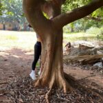 Elli AvrRam Instagram - Mommy look! I’m hugging trees in Africa too🥰❤️ #motherearth #nature #love #trees #forever #africa #godsgrace #thankyou #elliavrram #yourstruly Zimbabwe, Africa
