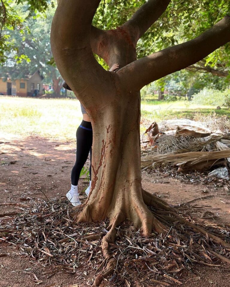 Elli AvrRam Instagram - Mommy look! I’m hugging trees in Africa too🥰❤️ #motherearth #nature #love #trees #forever #africa #godsgrace #thankyou #elliavrram #yourstruly Zimbabwe, Africa