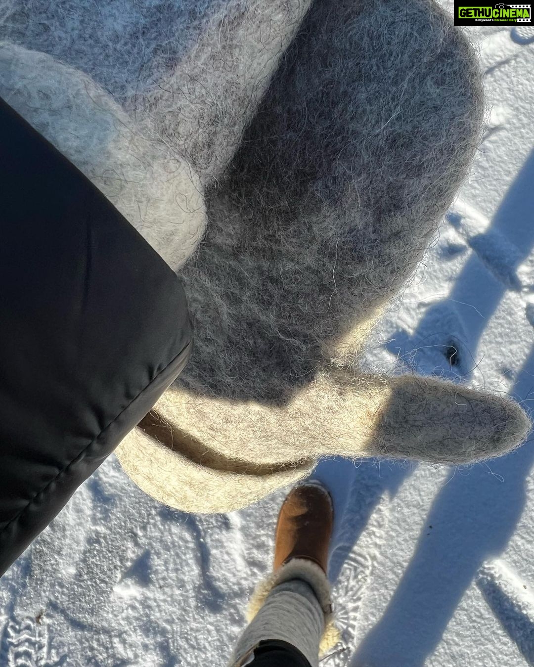 Elli AvrRam Instagram - Happy I got to see a bit of Snow this time back home in Sweden💙 And WOW look at this TREE!😲🧿🔱 Do you see what it is??? So cool… #forest #walk #snow #sweden #stockholm #hometown #familytime #elliavrram #yourstruly Stockholm, Sweden