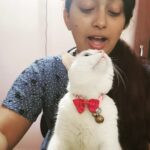 Ester Noronha Instagram – We just finished our Sunday breakfast with filter coffee!!! 😋🐱❤
Hope you all have a happy Sunday too! 🤗
God bless 🥰

PC : Mamma 🙈❤

#sundaybreakfast #filtercoffee #lazysunday #happysunday #fromustoyou #haveagreatday #Godbless #muchlove #okbye