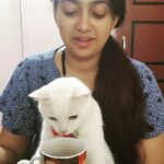 Ester Noronha Instagram – We just finished our Sunday breakfast with filter coffee!!! 😋🐱❤
Hope you all have a happy Sunday too! 🤗
God bless 🥰

PC : Mamma 🙈❤

#sundaybreakfast #filtercoffee #lazysunday #happysunday #fromustoyou #haveagreatday #Godbless #muchlove #okbye
