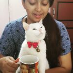Ester Noronha Instagram – We just finished our Sunday breakfast with filter coffee!!! 😋🐱❤
Hope you all have a happy Sunday too! 🤗
God bless 🥰

PC : Mamma 🙈❤

#sundaybreakfast #filtercoffee #lazysunday #happysunday #fromustoyou #haveagreatday #Godbless #muchlove #okbye