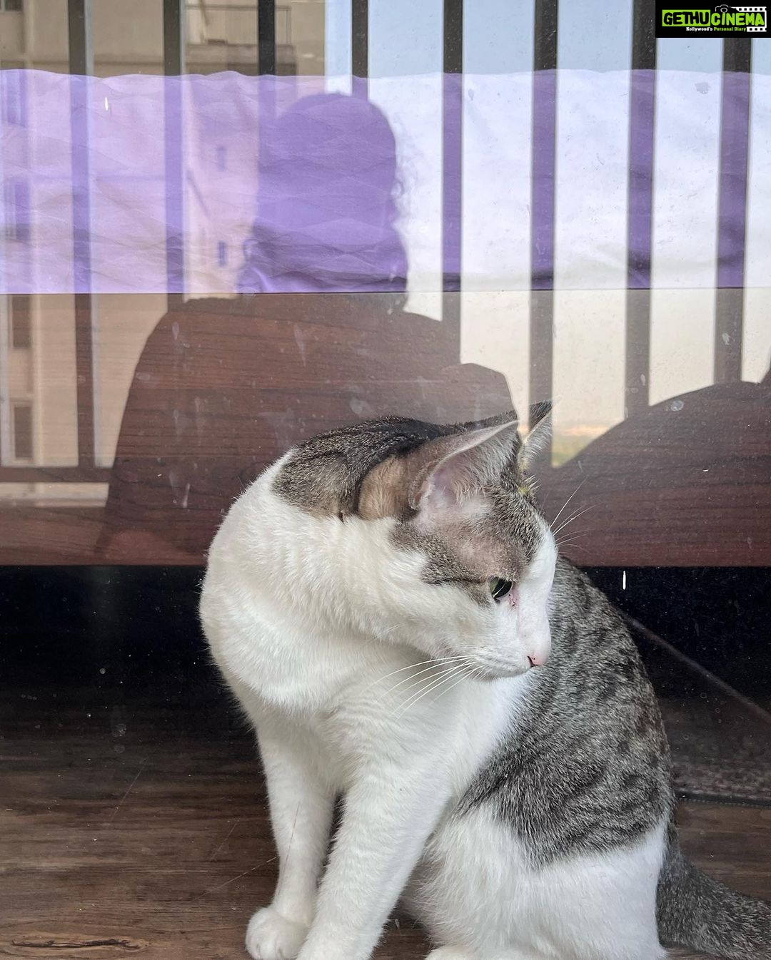 Faria Abdullah Instagram - If you’re having a bad day, here’s my boy being the cutest thing on the planet. Not a thought in that head. . (6/8) you can’t see me obviously but I promise you I’m in the picture, try harder to spot me. . Baaaaakiii Sab tho random dump hai. Lobbb you @inaya._.sultana