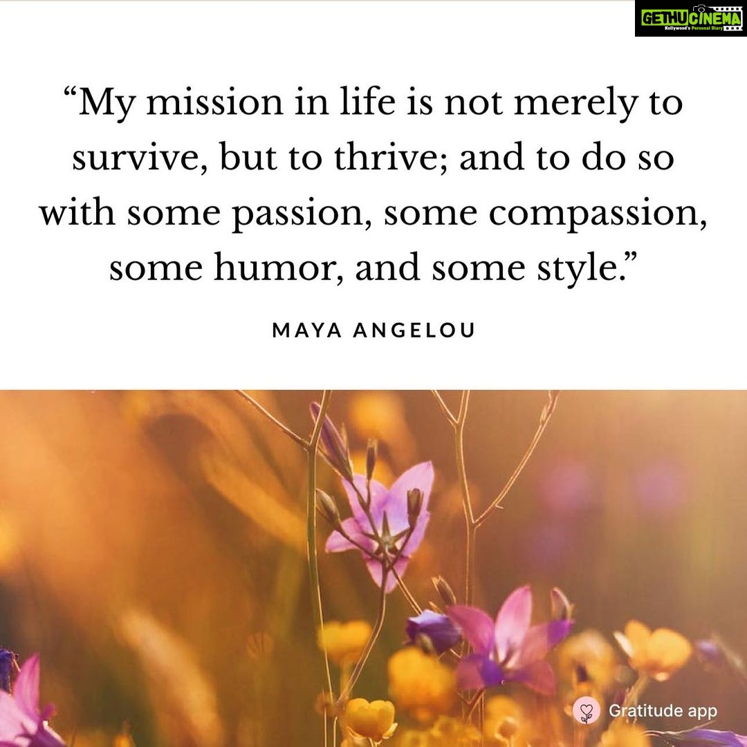 Gul Panag Instagram - This! Growing up in the Armed Forces environment- adapting ( to new places, people, circumstances ) was second nature to us . And we did not just survive - we thrived. I firmly believe, that I’m the person I am today because of this upbringing. And I can speak for our tribe too! Our optimism, our never say die spirit and our zest for life. It all comes form there. Watching our parents ( mothers are equally vested in the ecosystem) negotiate the trials and tribulations of the Armed Forces and do it with equanimity, is how we learnt such life lessons by example. Army BRAT : it’s actually an acronym. Being Relocated All the Time. P.S. And it’s not just women in the entertainment industry. It’s women everywhere. And men too , albeit less talked about . I can say with confidence and clarity that Armed Forces kids create their own space regardless of the career path they choose. And all I have is gratitude. Please mention/ tag all AF kids ! @shunalikhullarshroff1 @priyankachopra @larabhupathi @nehadhupia @sushmitasen47 @celinajaitlyofficial @hasleenk @chitrangda @missdhillon @sherbirpanag @rampal72 @sidpatankar @mevidyutjammwal @armybrat.s