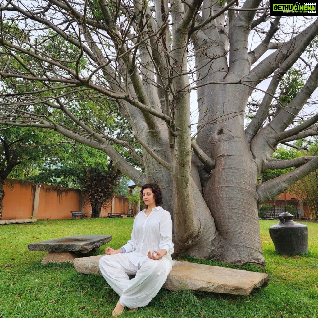 Hamsa Nandini Instagram - To pause, to make space, to collect your thoughts, to remember, to face the next moment and to choose. Just breath. This International Yoga Day, let's just remember to breath. . #adiyogishiva #breathwork #yogaday2023 #swanstories Isha Yoga, coimbatore, Tamil Nadu, India