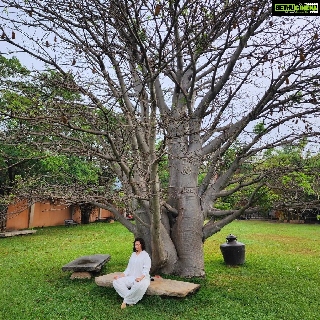 Hamsa Nandini Instagram - To pause, to make space, to collect your thoughts, to remember, to face the next moment and to choose. Just breath. This International Yoga Day, let's just remember to breath. . #adiyogishiva #breathwork #yogaday2023 #swanstories Isha Yoga, coimbatore, Tamil Nadu, India