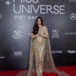 Harnaaz Kaur Sandhu Instagram - yêu và tôn trọng việt nam ❤️🇻🇳🙏🏻 Red carpet look❤️✨ @missuniverse @missuniversevietnam Designer @chungthanhphong MUA @quannguyen_makeup Hair @pulehairstylist Ho Chi Minh City, Vietnam