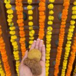 Harnaaz Kaur Sandhu Instagram - Baisakhi is celebrated to mark the start of Punjabi new year and first day of spring harvest. It also commemorate formation of Khalsa Panth warriors under Shri Guru Gobind Singh Ji. On this special day of Baisakhi, May god bless all of us with blessings, love and lots of happiness. Sharing some pictures of how I celebrated Baisakhi today.❤️✨ #blessed @missuniverse