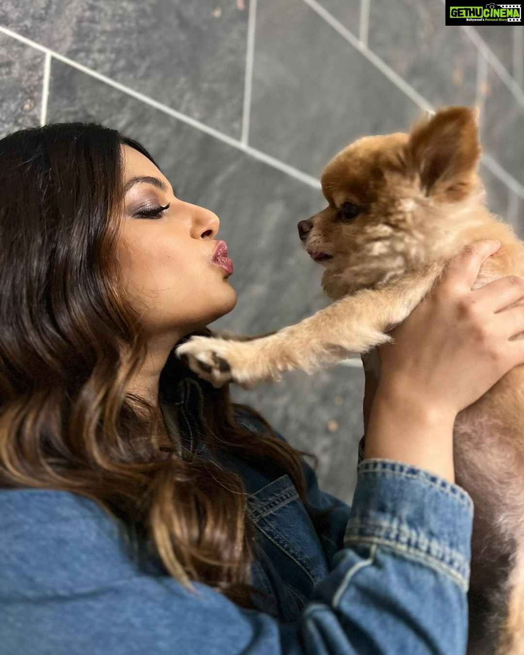 Harnaaz Kaur Sandhu Instagram - This friendship is fur real💗 @thetoypom