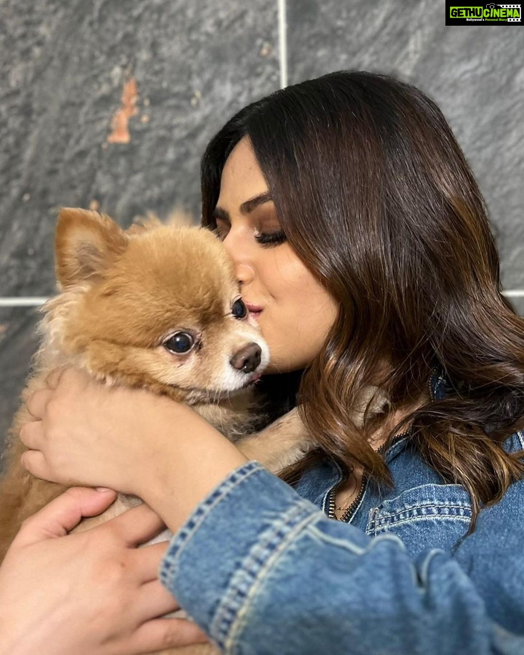 Harnaaz Kaur Sandhu Instagram - This friendship is fur real💗 @thetoypom