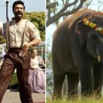 Hema Malini Instagram – More glory to India! After the Golden Globe awards,RRR has won the best original song award at the Oscars for Naatu Naatu❤️Can’t ask for more! Lovely acceptance  song by the composer Keeravani!
Elephant Whisperers brought more glory by winning an Oscar for the best short film!👍

#oscar95 #winners #rrr ##natunatu #mmkeeravani #elephantwhispers