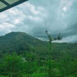 Indhuja Ravichandran Instagram – All the art of living lies in a fine mingling of letting go and holding on
.
.
.
.
.
.
.
@wildplanetresort @tripstoluxury