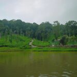 Indhuja Ravichandran Instagram – All the art of living lies in a fine mingling of letting go and holding on
.
.
.
.
.
.
.
@wildplanetresort @tripstoluxury