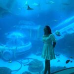 Ivana Instagram – The last set from the twins trip☀️🩵☁️

@touronholidays @burjalarab @jumeirahgroup

#letstouron#InsideBurjAlArab #OriginalHomeOfLuxury #goldenhour