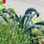 Janani Ashok Kumar Instagram – 🌱🪻🌻 Interlaken, Switzerland