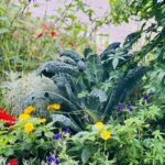 Janani Ashok Kumar Instagram – 🌱🪻🌻 Interlaken, Switzerland