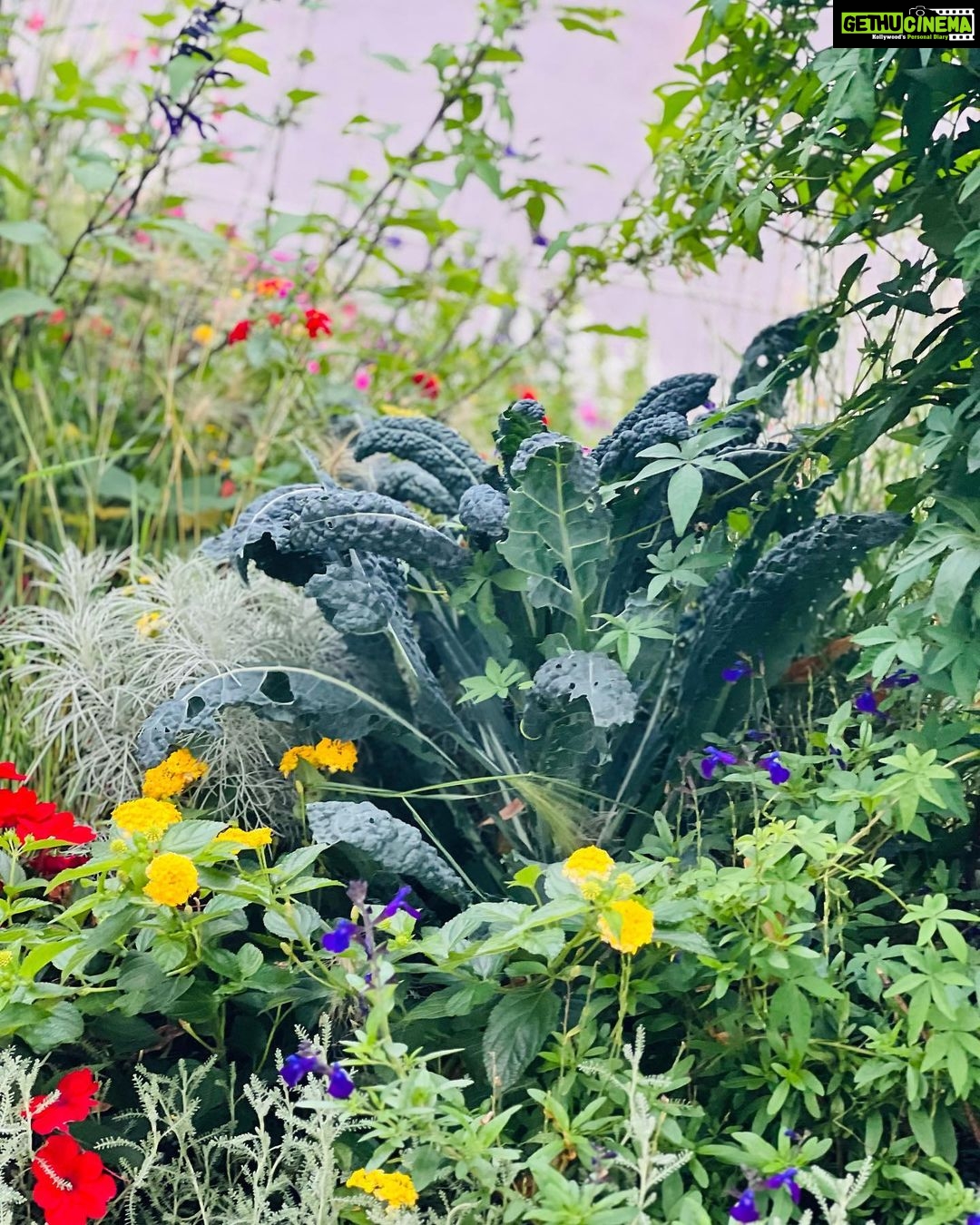 Janani Ashok Kumar Instagram - 🌱🪻🌻 Interlaken, Switzerland