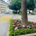 Janani Ashok Kumar Instagram - Your beauty can’t be described in words 🥹💯 #luzern #switzerland #memoriesforlife #travel #travelgram #janani #jananiashokkumar #janani_ashokkumar Luzern, Switzerland