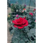 Janani Ashok Kumar Instagram – #hope 🙏🏼💫✨💯 Chennai, India