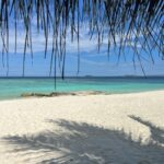 Janani Ashok Kumar Instagram – Food & nature at its best 💯💫✨
#milaidhoo #maldives Milaidhoo Island, Maldives
