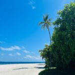Janani Ashok Kumar Instagram – Food & nature at its best 💯💫✨
#milaidhoo #maldives Milaidhoo Island, Maldives