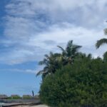 Janani Ashok Kumar Instagram – Food & nature at its best 💯💫✨
#milaidhoo #maldives Milaidhoo Island, Maldives