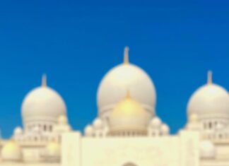 Jasmin Bhasin Instagram - A garden of paradise 🕌 #sheikhzayedmosque #inabudhabi #travelgram Sheikh Zayed Grand Mosque, Abu Dhabi