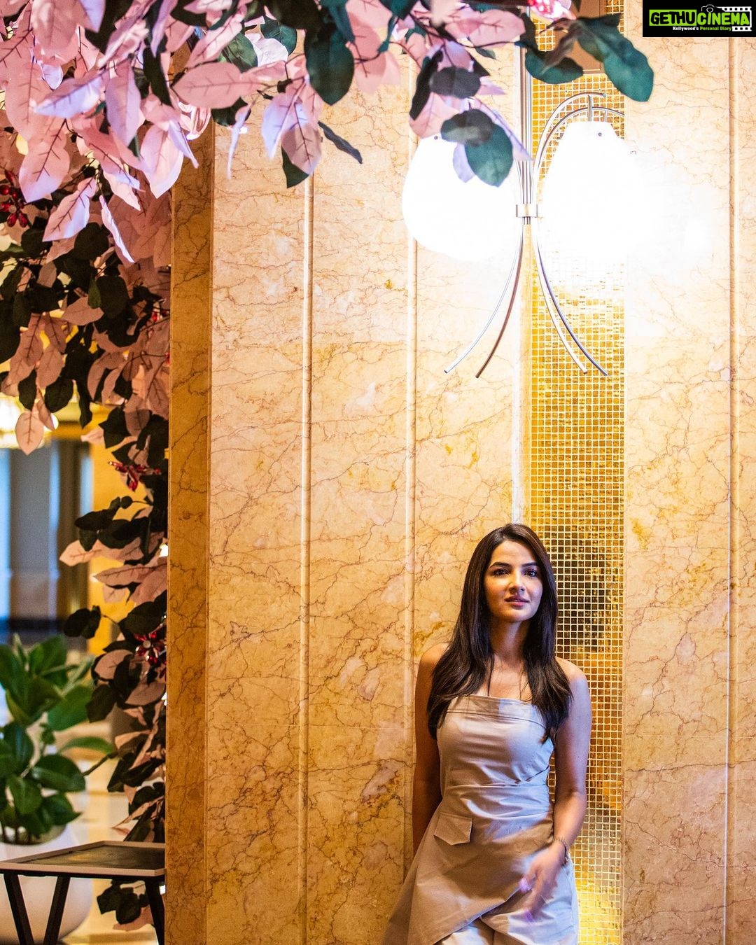 Jasmin Bhasin Instagram - Felt like a Princess 👑 Thank you soooo much @mo_emiratespalace @visitabudhabi for the priceless moments spent 💓 #findyourpace #inabudhabi Emirates Palace Mandarin Oriental, Abu Dhabi