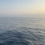 Jasmin Bhasin Instagram - A magical evening with dolphins 🐬☀️ @furaveriresort @journeyrouters #furaveri #furaverimaldives #journeyrouters #traveleithjr Furaveri Maldives