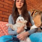 Jasmin Bhasin Instagram – Dump because Mia got a bit too naughty and didn’t let us shoot 🤣
Swipe ⬅️⬅️ for kisses though 😘

#random #petsofinstagram #pets