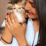Jasmin Bhasin Instagram – Welcoming new baby  to family “Kylie”❤️
#catsofinstagram #cats #calico 

📸 @alygoni

Cat @hyggekennels_