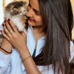 Jasmin Bhasin Instagram – Welcoming new baby  to family “Kylie”❤️
#catsofinstagram #cats #calico 

📸 @alygoni

Cat @hyggekennels_