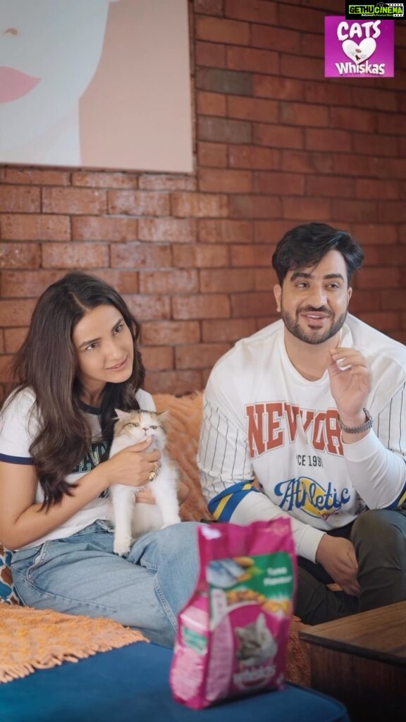 Jasmin Bhasin Instagram - When it comes to our Kylie’s food, @Whiskasindia is the ultimate favorite! Our baby just goes crazy for Whiskas. Not only does Whiskas helps Kylie with nutrition, but it also helps her with 🐱Active. Keeps Kylie active all day long 🐱Beautiful Coat. Helps with a lustrous and shiny coat 🐱Clear Eyesight. Helps improve Kylie’s eyesight It also fuels her energy and makes her active. ✨ Whiskas is the No.1 cat food in 25 countries that’s why I believe that they really do know the secret behind what your cats love to eat.  But that’s not all! Capture your cutie kitty’s adorable moments with Whiskas and get a chance to win a fabulous personalized hamper worth Rs 10,000! 🎁 Share your video, tag @whiskasindia, and use #catslovewhiskas to enter the contest. 🏆 It’s time to unleash the Whiskas magic! 😻 #Whiskas #WhiskasIndia #FeedTheirCuriosity #CatHealth #CatNutrition #CatFood #ad #catslovewhiskas