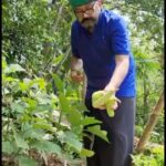 Jayaram Instagram - 🍅🥒🥦🥗