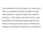 Jennifer Winget Instagram - Breezer, we loved you for your entire life, now we will love and miss you for all of our’s. Thank you for being my bestest friend, my partner, my confidant, my heart… my home. Thank You! ❤️🐾