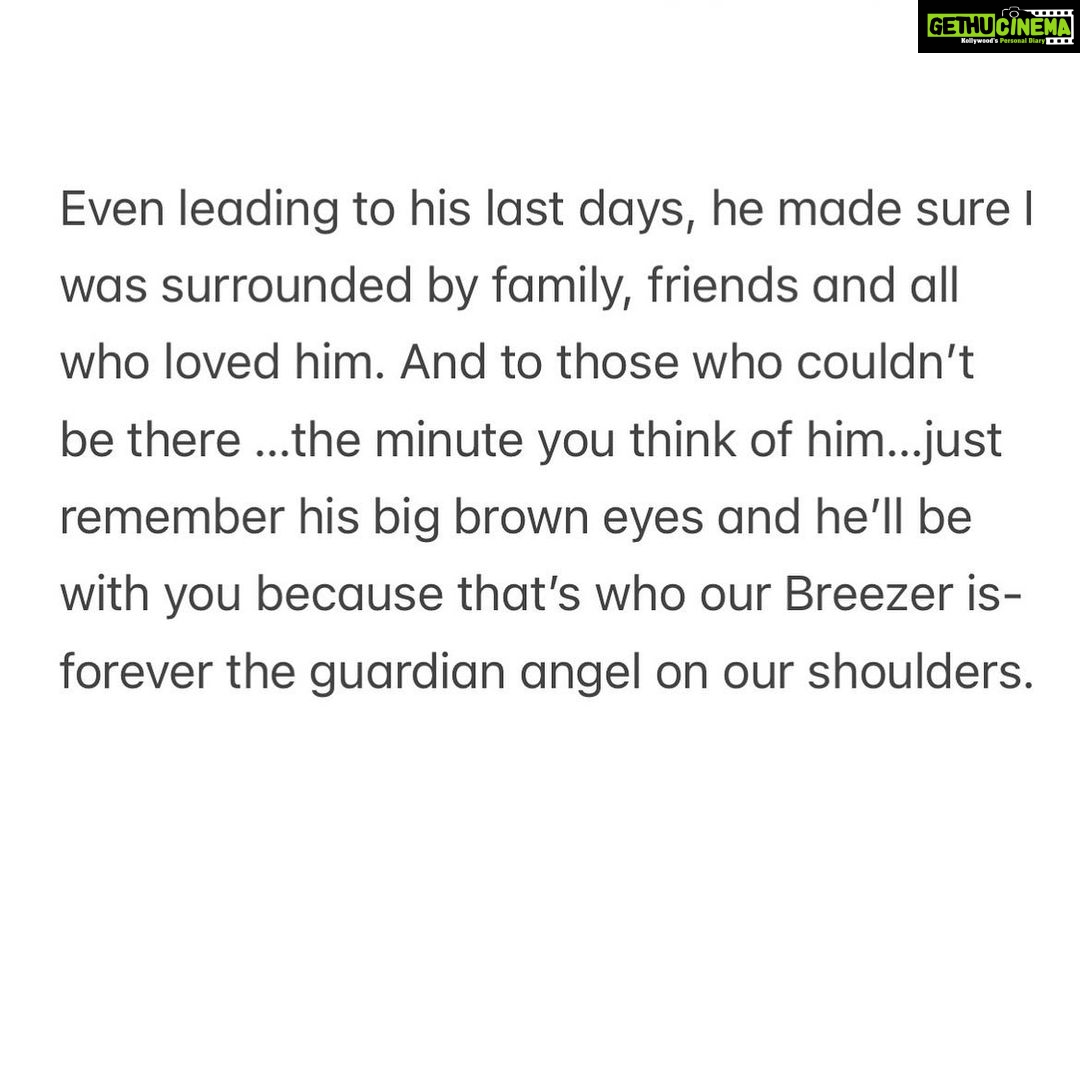 Jennifer Winget Instagram - Breezer, we loved you for your entire life, now we will love and miss you for all of our’s. Thank you for being my bestest friend, my partner, my confidant, my heart… my home. Thank You! ❤️🐾