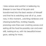 Jennifer Winget Instagram - Breezer, we loved you for your entire life, now we will love and miss you for all of our’s. Thank you for being my bestest friend, my partner, my confidant, my heart… my home. Thank You! ❤️🐾