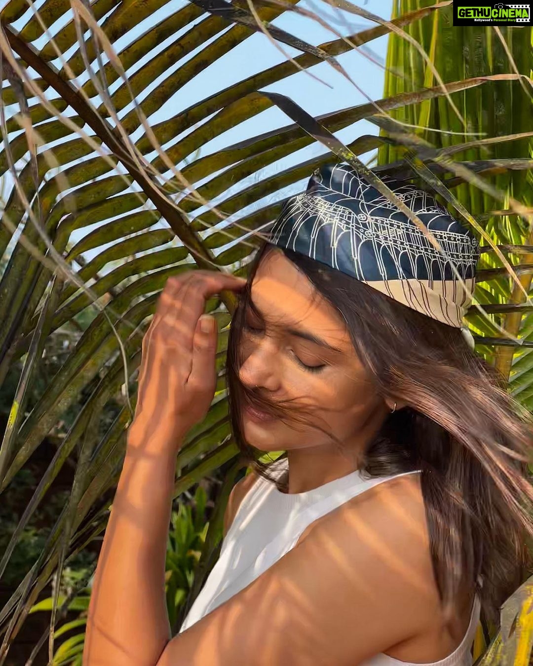 Jennifer Winget Instagram - Find me under the palm🌴 Pousada by the Beach