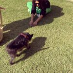 Jennifer Winget Instagram - A little hello to start off your day from me and @desidoggykali 🐾 #furryfriendsforlife#sunnydays#happydays😊☀️