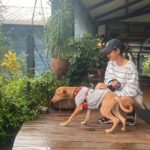 Jennifer Winget Instagram - Two girls👭, A guy🧍‍♂️And …A dog 🐕 …Also a car🚙 …Some rain🌳🌧️ …Few pitstops enroute🍟🍔🌽 …And well, yes, a pizza place!🍕🍽️ #theweekendthatwas