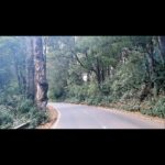 Joy Crizildaa Instagram – Always take a scenic road 💫☀️🌦

#reels #reelsinstagram #reelsvideo #reelsinsta #reelvideo #trendingreels #trending #travel #travelgram #travelholic #travelreels #travellife #travelblog #travelreels #traveldiaries Coonoor