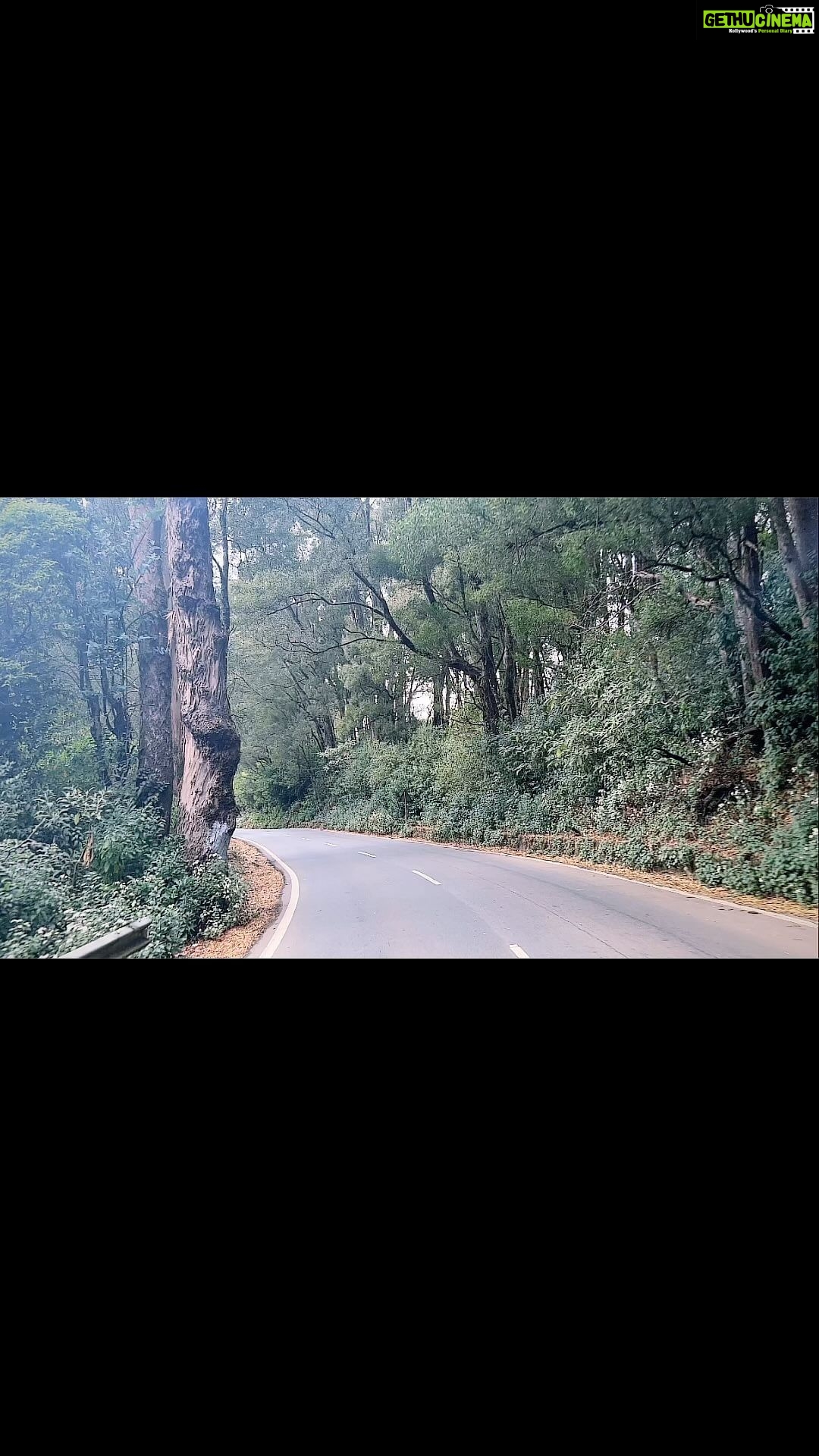 Joy Crizildaa Instagram - Always take a scenic road 💫☀️🌦 #reels #reelsinstagram #reelsvideo #reelsinsta #reelvideo #trendingreels #trending #travel #travelgram #travelholic #travelreels #travellife #travelblog #travelreels #traveldiaries Coonoor