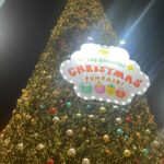 Joy Crizildaa Instagram - Merry Xmas everyone 🥰😍🎄🎄🧑‍🎄🎅 #xmas #xmastime #xmaslights #xmastree