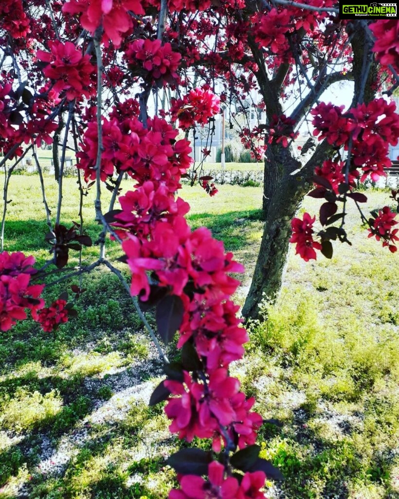 Kashish Singh Instagram - Just a moment between moments 🌺 #naturelovers #naturephotography #flowerstagram #yolo #bellavitakashish 🌺