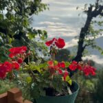 Kashish Singh Instagram - Choose only one master—nature. #bellavitakashish #nature #naturelovers #yolo 💛💛 New Tehri, Uttarakhand