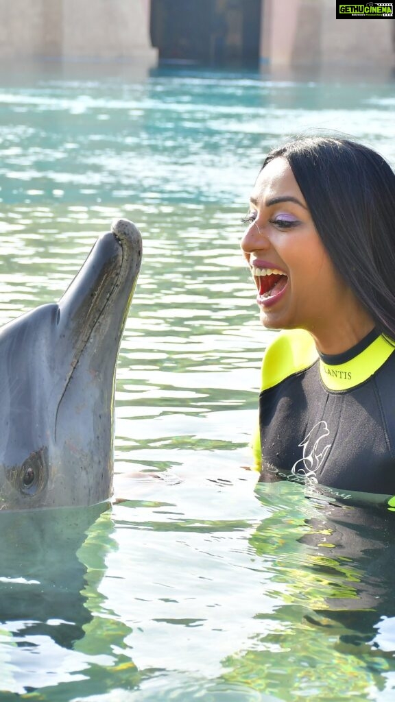 Kashmera Shah Instagram - What a beautiful day with the dolphins at the Atlantis. Lovely outing thanks to our #kittycat @saraarfeenkhan love you and your efforts. #piffanythedolphin #atlantis #dubai @rohitkverma @munishakhatwani @tannazirani_ #kashmerashah #kashmirashah